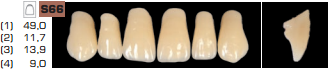 Ruthinium Acryrock Teeth Sets A1