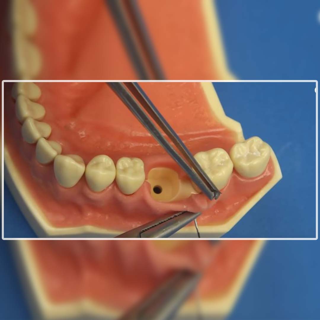 Dental Suture Practice Kit - Type II