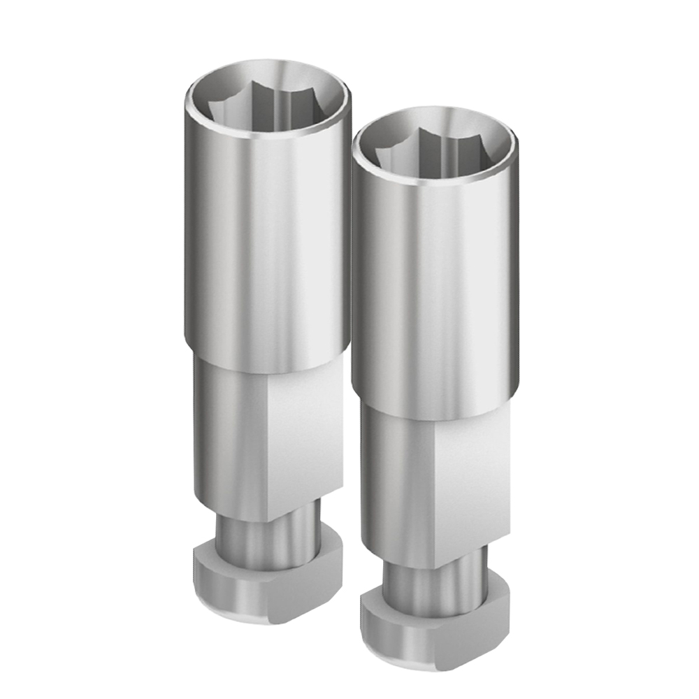 Adin RS Internal Hex Implant Analog (RS5737)