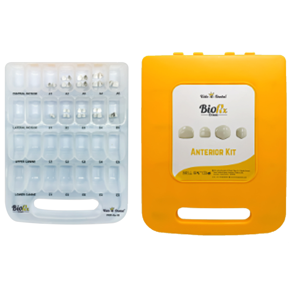 Kids-e-Dental Bioflx Anterior Crown Master Kit (20 Crowns)