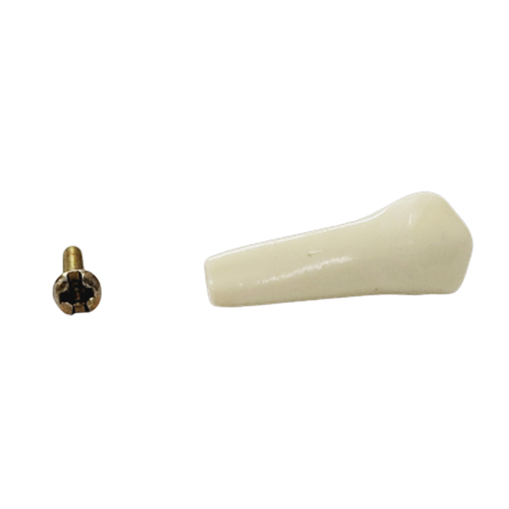 API Lower Right First Premolar Typodonts Individual-B561-44