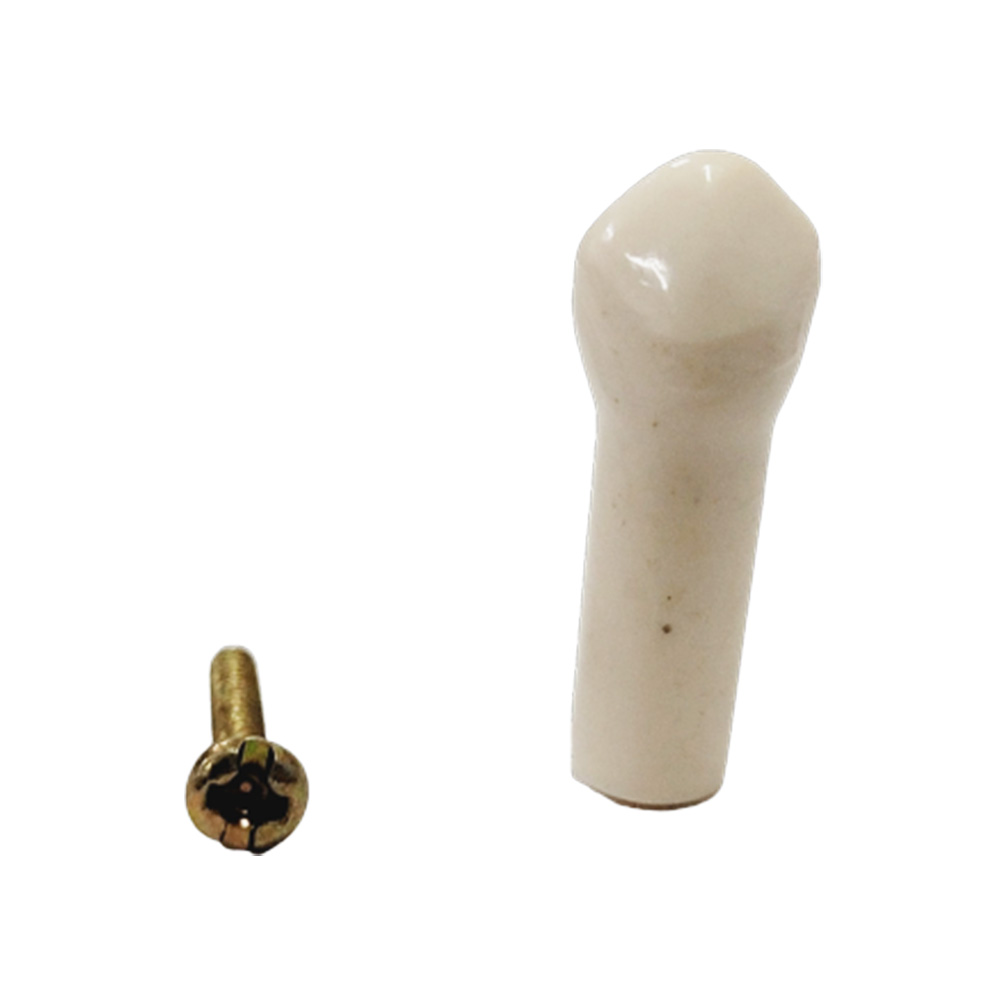 API Upper Right Decidious Canine Typodonts Individual FZ (Pedo) #53