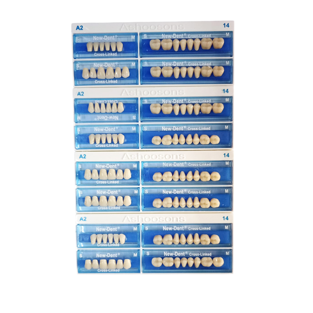 API Acrylic Teeth Sets - NewDent S14-A2 (Pack of 4 Sets)