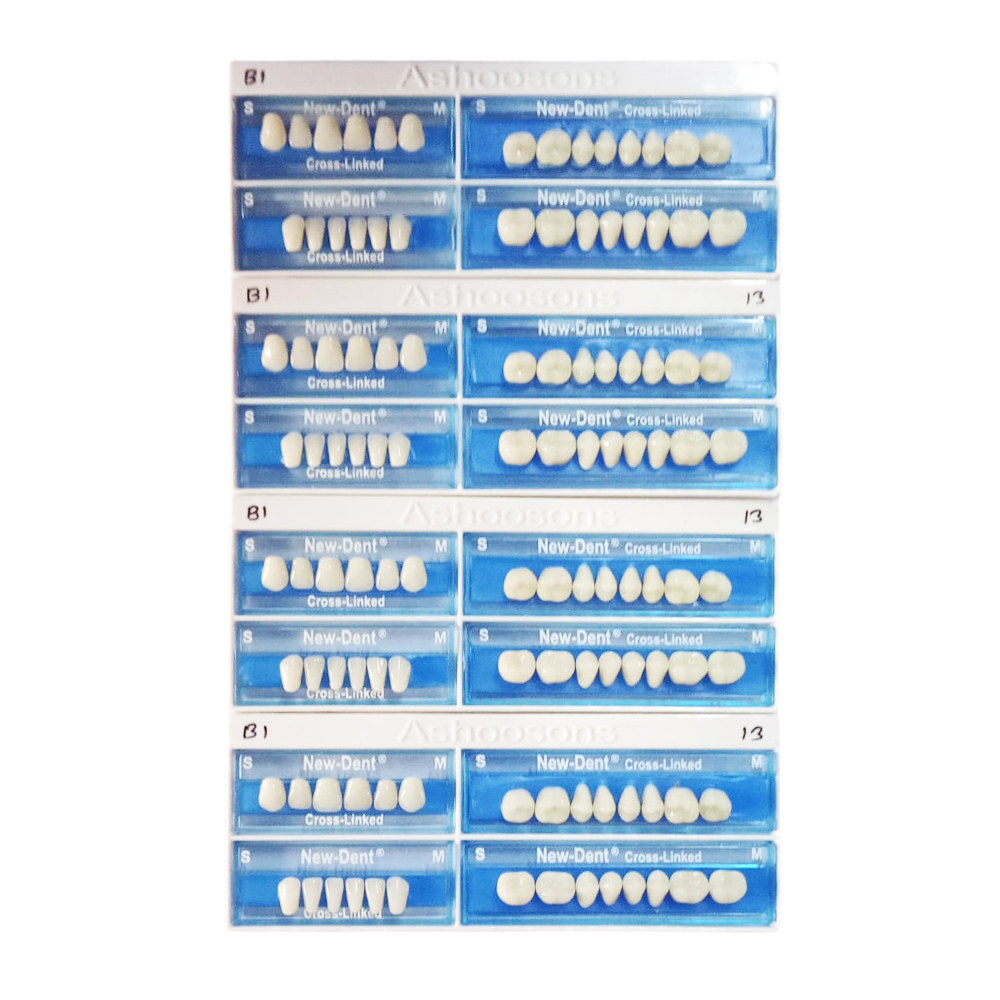 API Acrylic Teeth Sets - NewDent S13-B1 (Pack of 4 Sets)