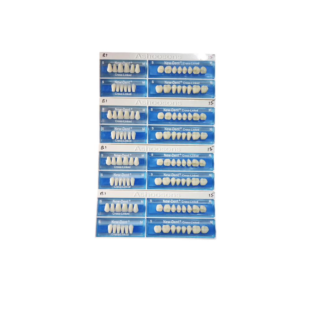 API Acrylic Teeth Sets - NewDent S15-B1 (Pack of 4 Sets)