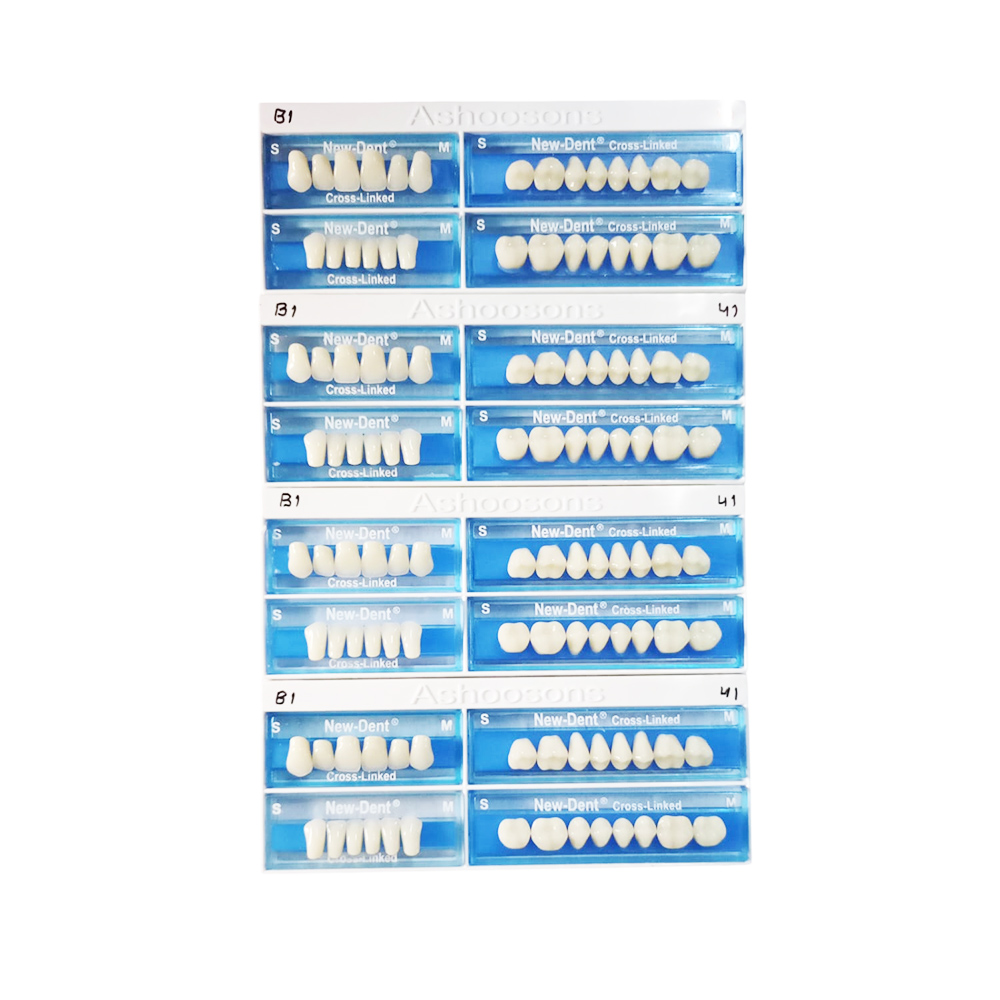 API Acrylic Teeth Sets - NewDent S41-B1 (Pack of 4 Sets)