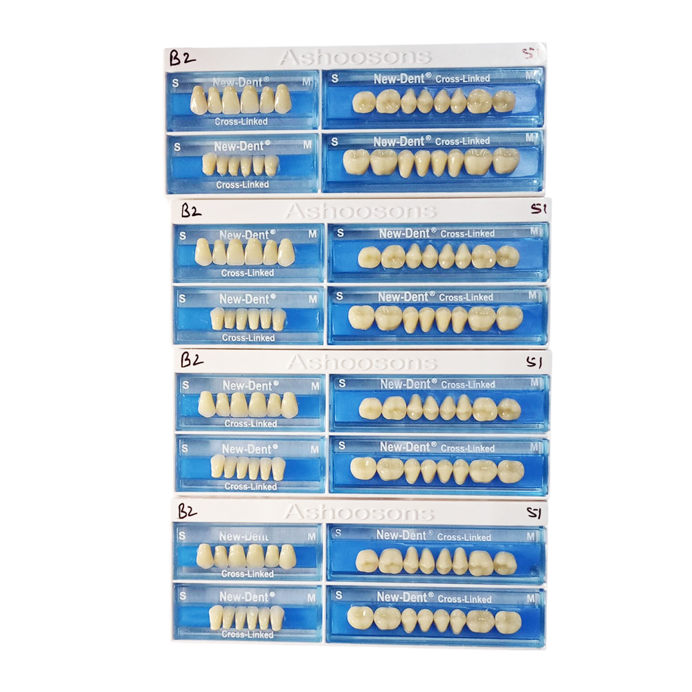 API Acrylic Teeth Sets - NewDent S51-B2 (Pack of 4 Sets)