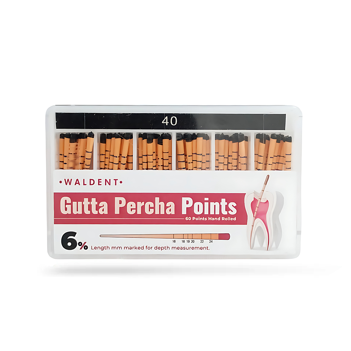 Waldent Gutta Percha Points 6% (Length Marked) #40