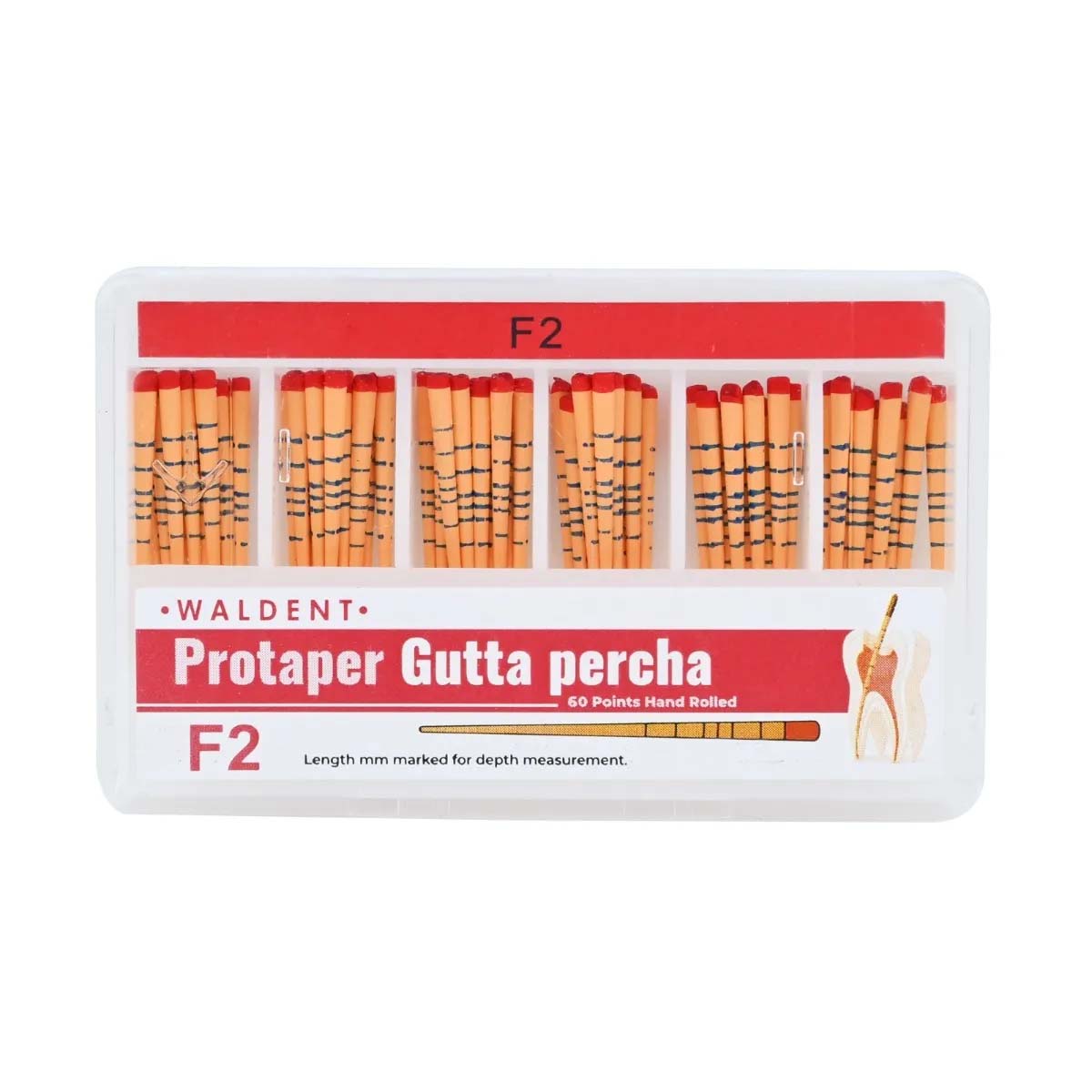 Waldent Gutta Percha Points Protaper (Length Marked) #F1-F3