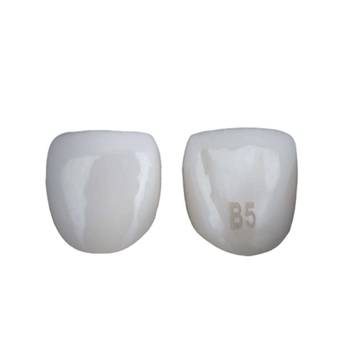 Kids-e-Dental BioFlx Lateral Incisor Crowns Refills