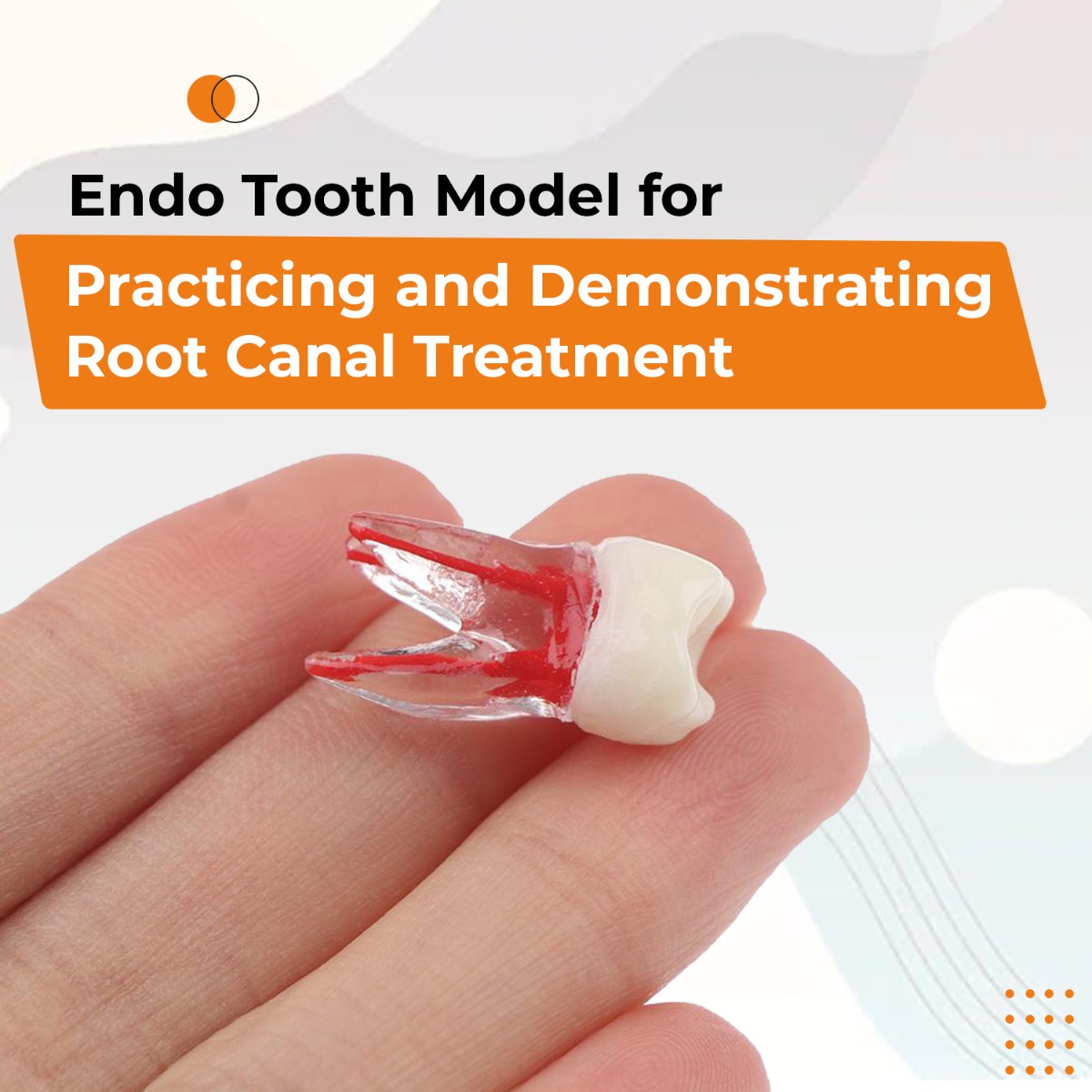 iDENTical Root Canal (RCT) Practice Tooth Model - M8008