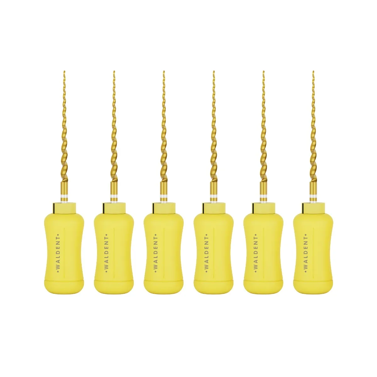 Waldent Pro-Taper Gold Hand File 21mm Assorted SX-F3