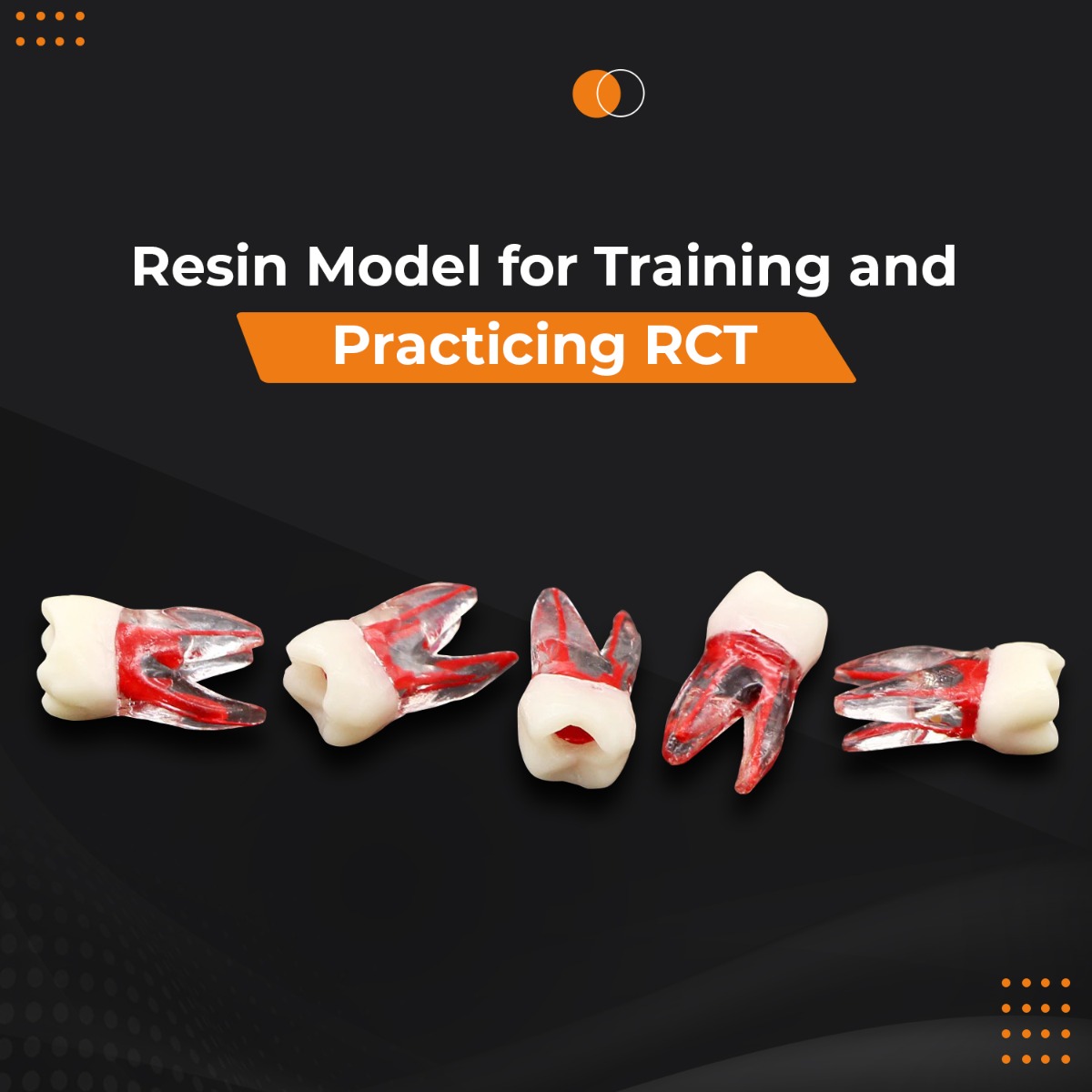 iDENTical Root Canal (RCT) Practice Tooth Model - M8008