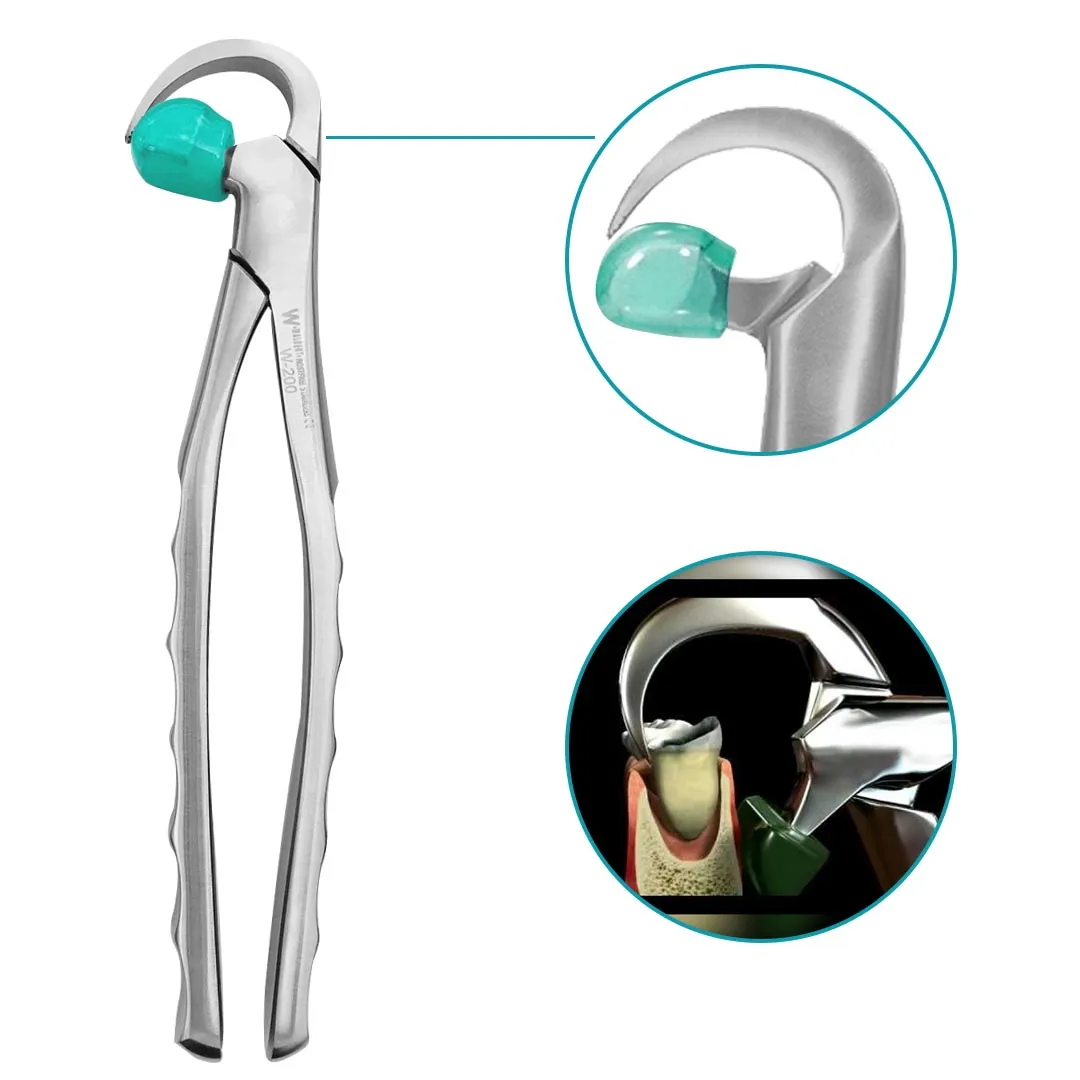 Waldent Physics Forceps - Pack of 1