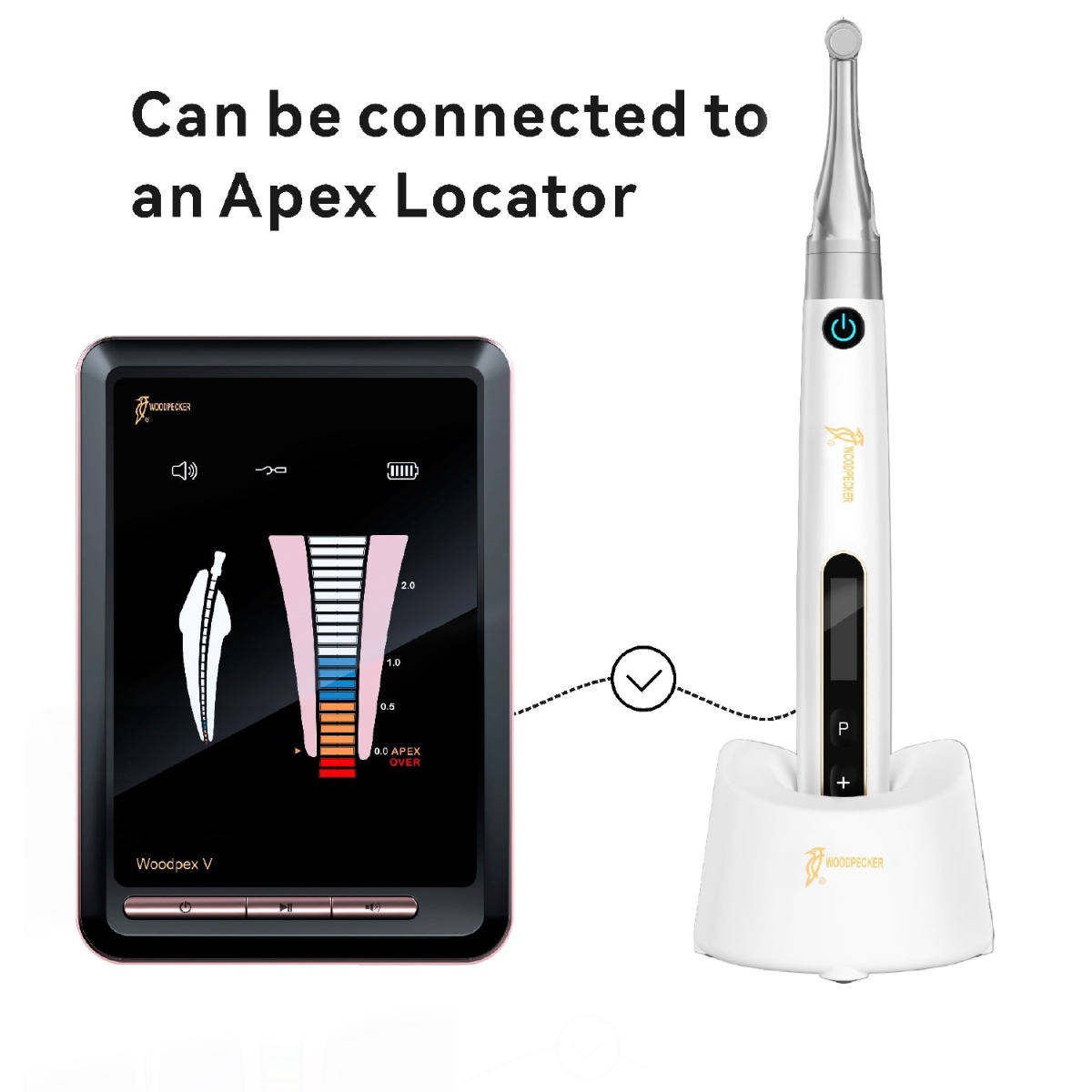 Woodpecker Endopace Brushless Endomotor 