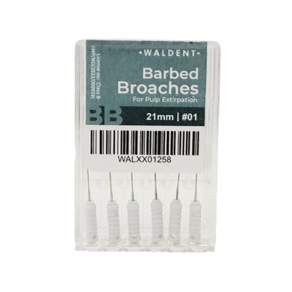 Waldent Barbed Broaches 21mm # 01 (Pack of 6)