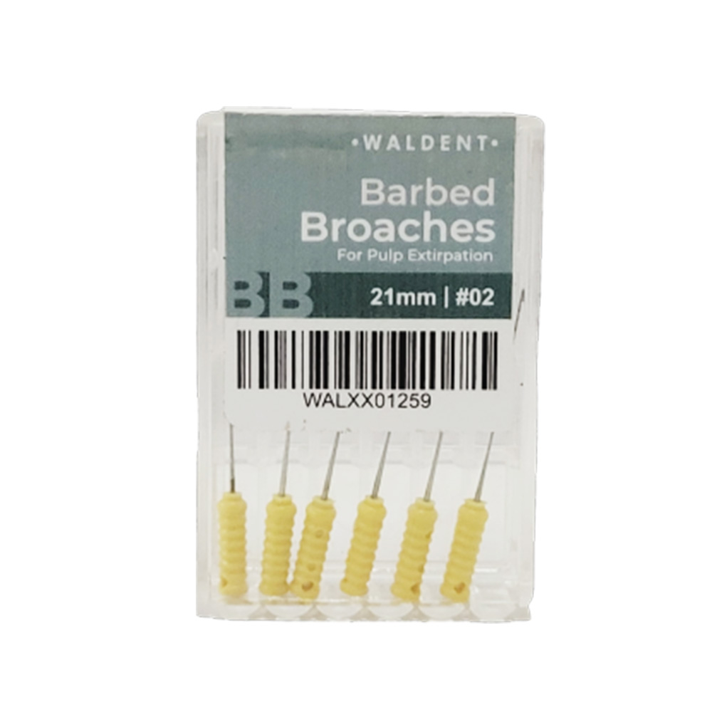 Waldent Barbed Broaches 21mm # 02 (Pack of 6)
