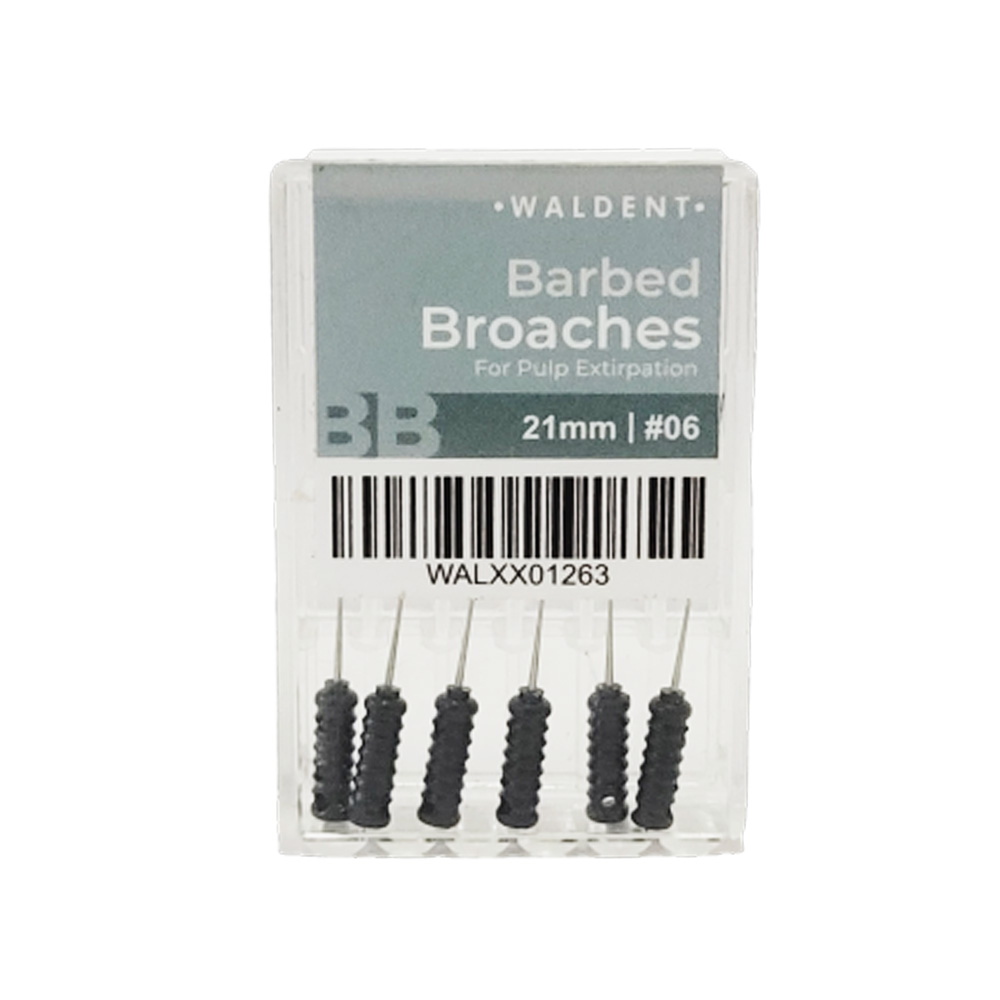 Waldent Barbed Broaches 21mm # 06 (Pack of 6)