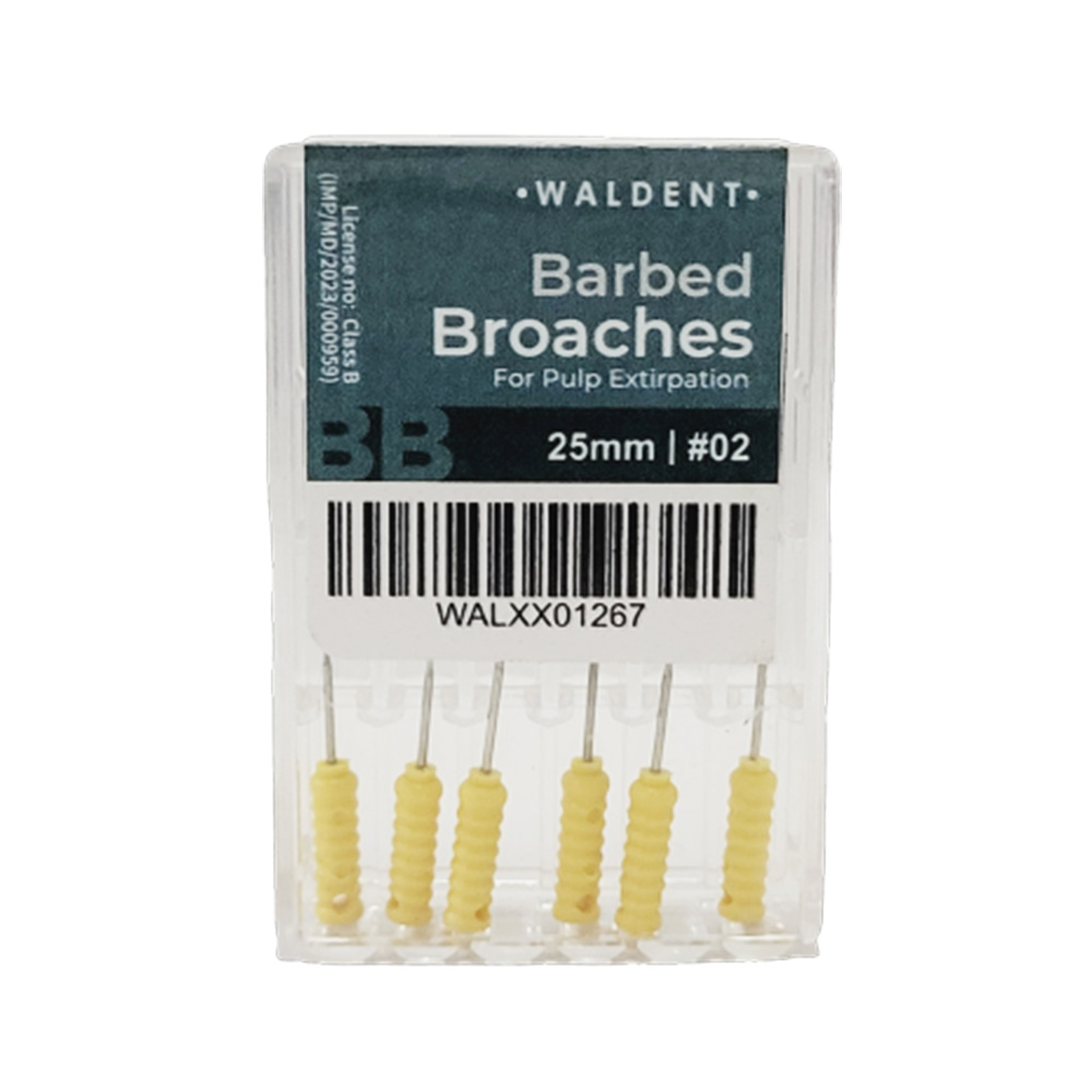 Waldent Barbed Broaches 25mm # 02 (Pack of 6)