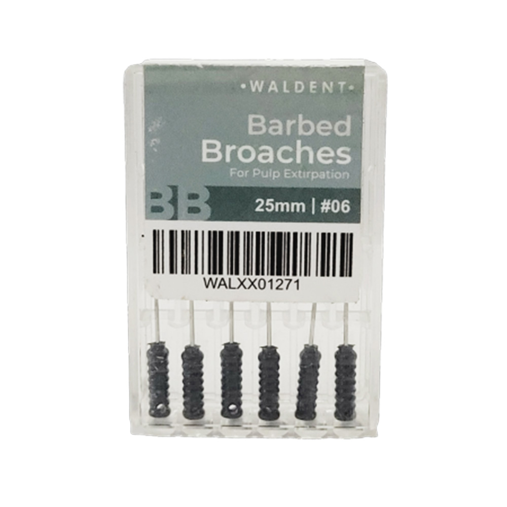 Waldent Barbed Broaches 25mm # 06 (Pack of 6)
