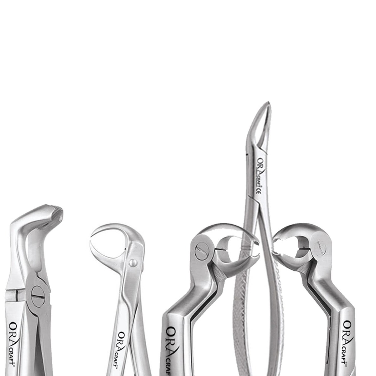 Oracraft Extraction Forceps