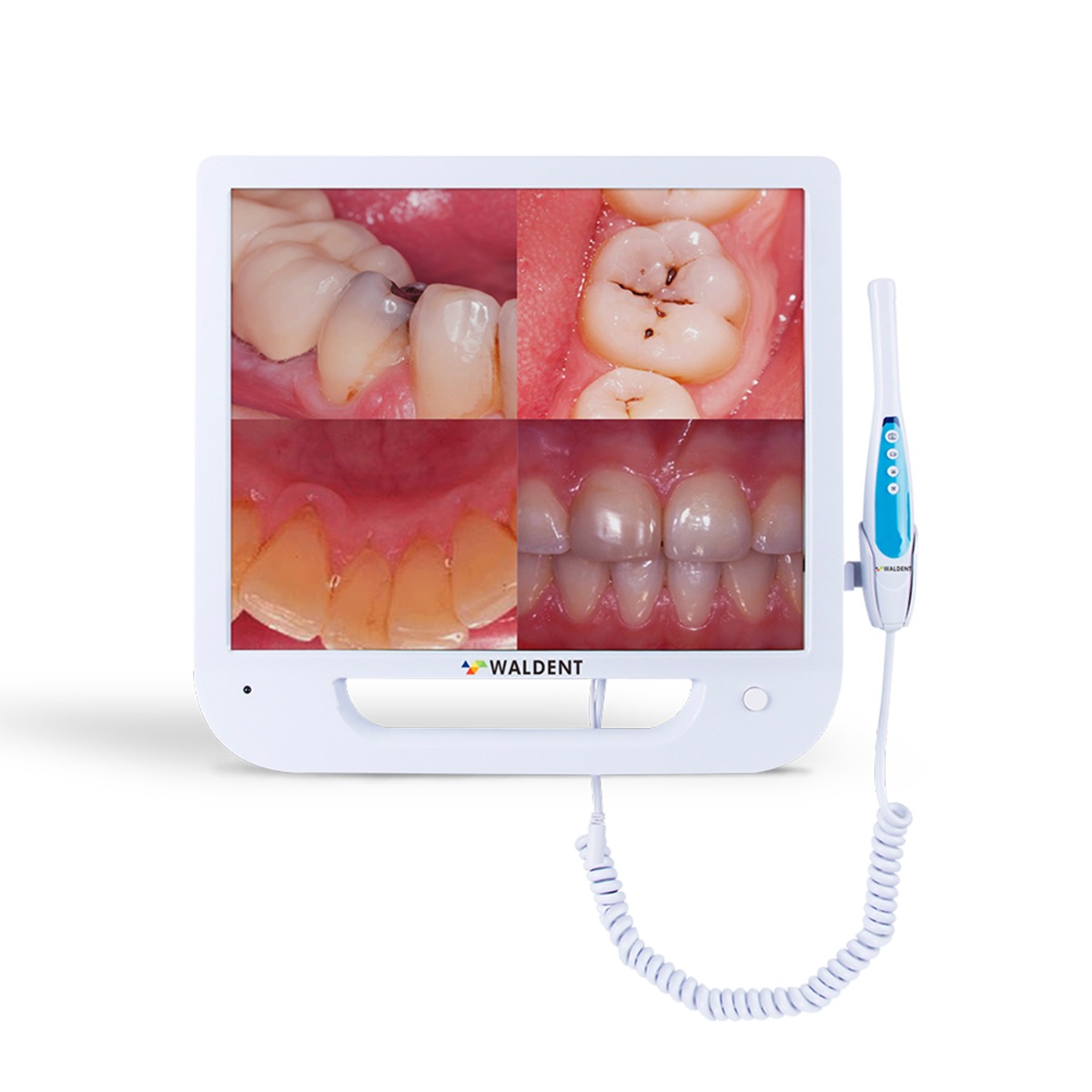 Waldent Intra Oral Camera with Screen - Ergo (10 MP)