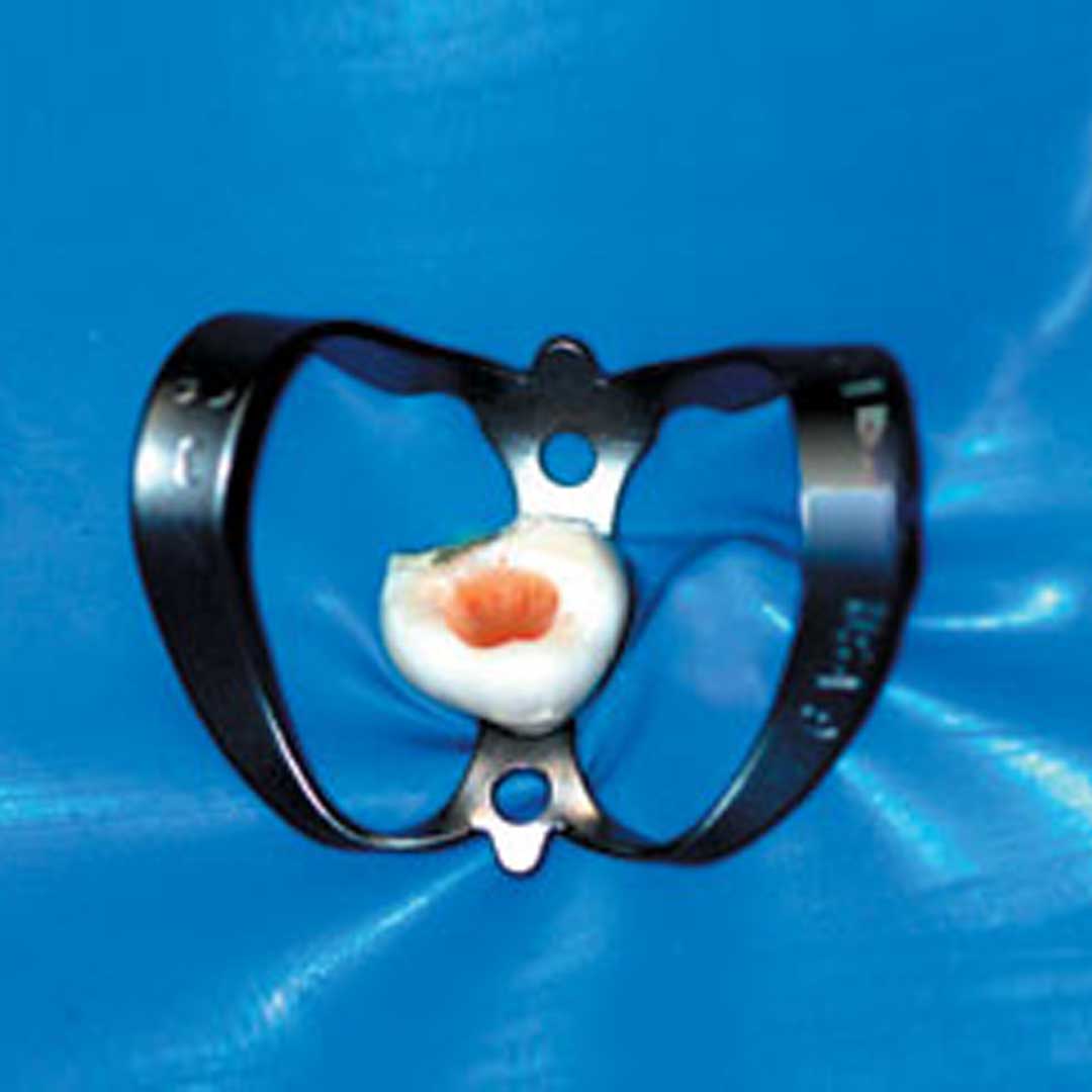 Waldent Rubber Dam Clamps Kit Titanium Black (Set of 11) (K16/4)	