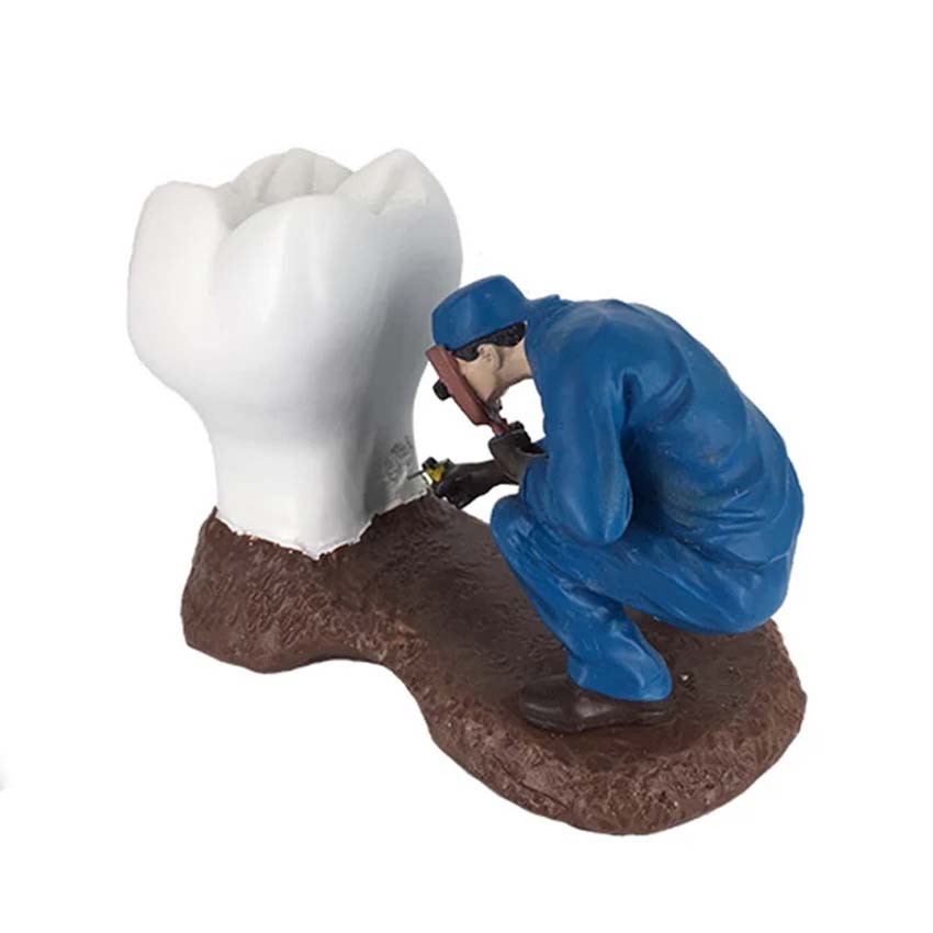 Dental Model With Craftsman MD-115