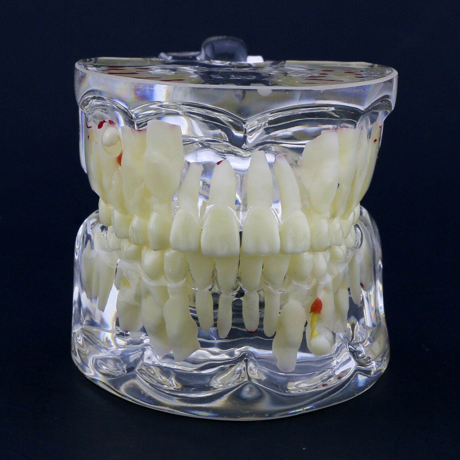 IDENTical Paediatric Model with Pathologies M4002 