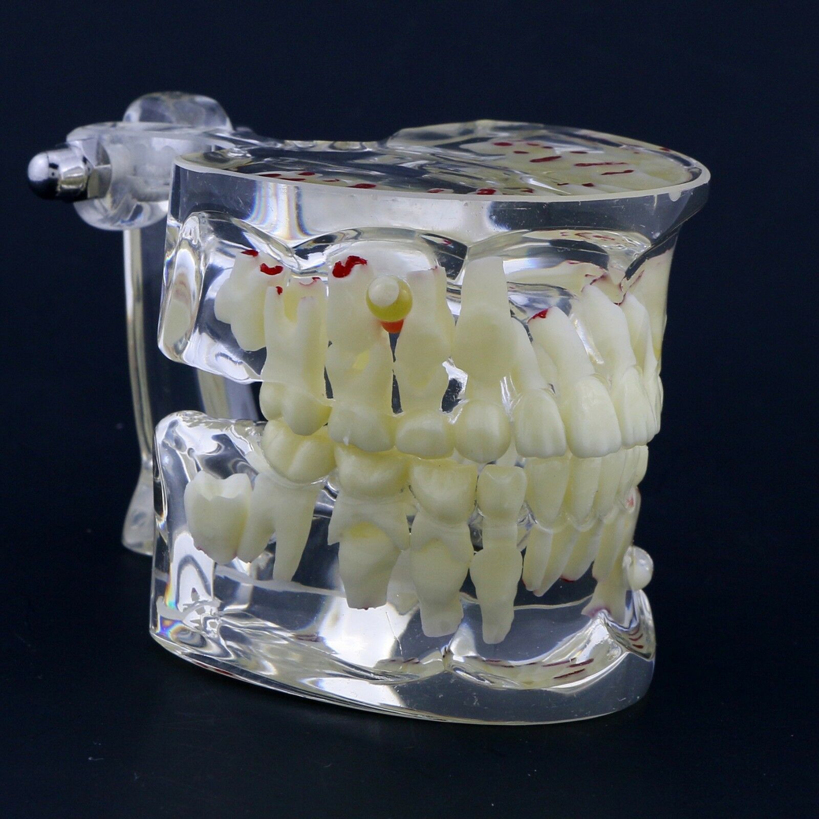 IDENTical Paediatric Model with Pathologies M4002 