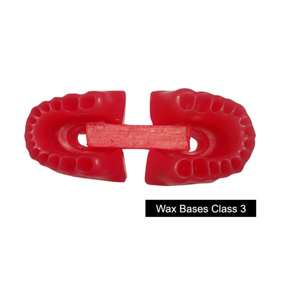 Rabbit Typodont Wax Bases Class 3 - WAX3