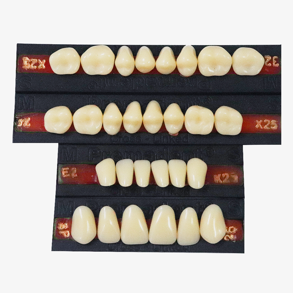 Premadent Teeth Set Cross Linked Acrylic Teeth
