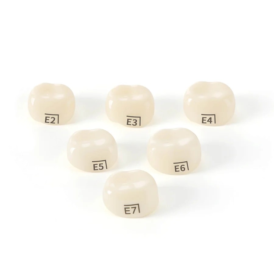 Pedo Crown Primary 2nd Lower Molar Refills