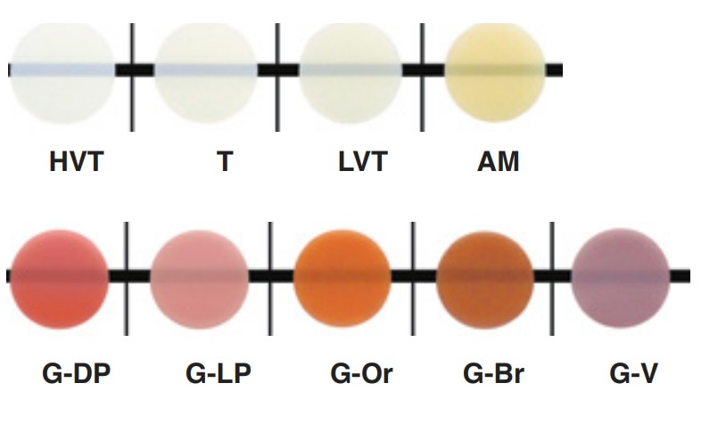 Shofu BeautifIl II Enamel & Gingiva