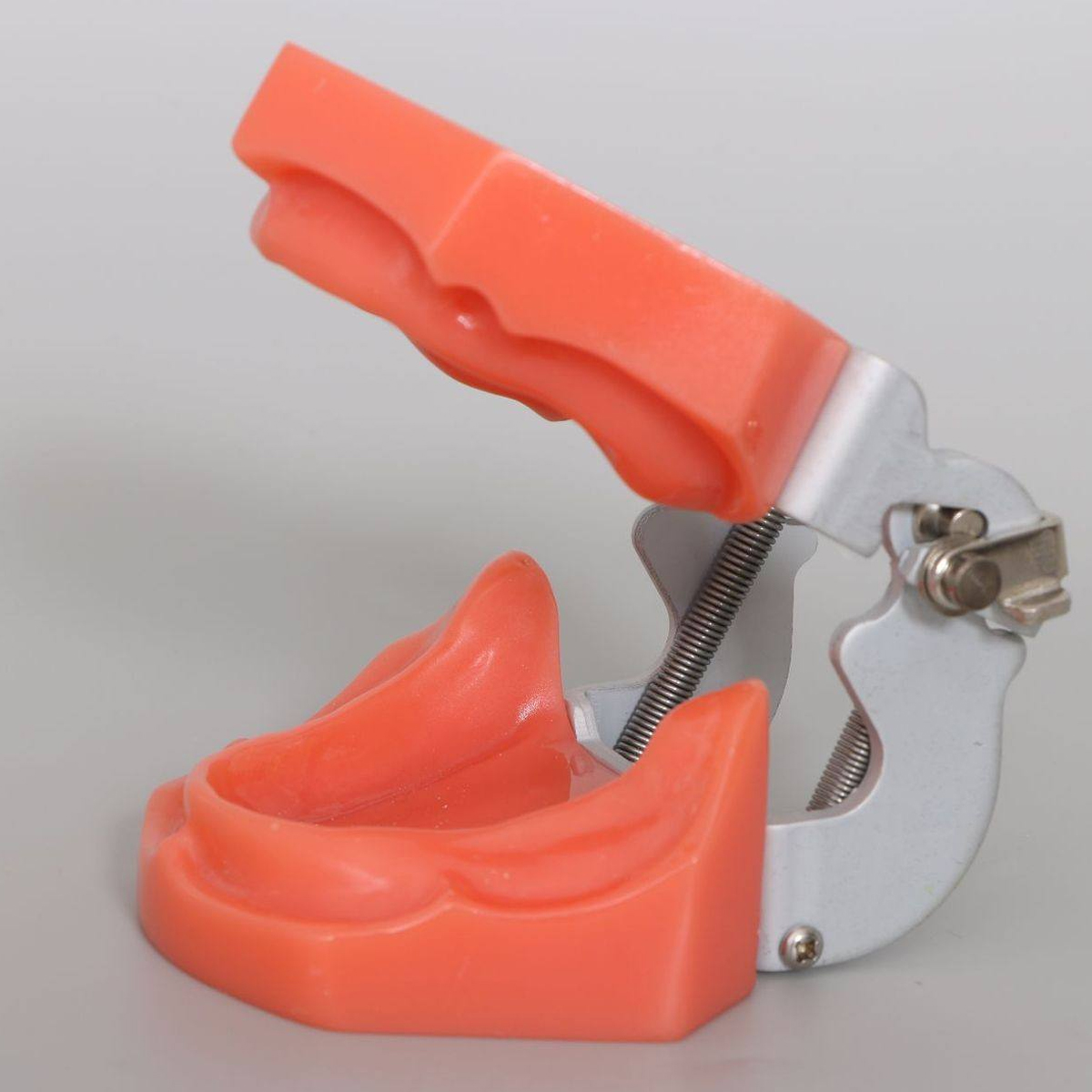 iDENTical Standard Edentulous Model M7041