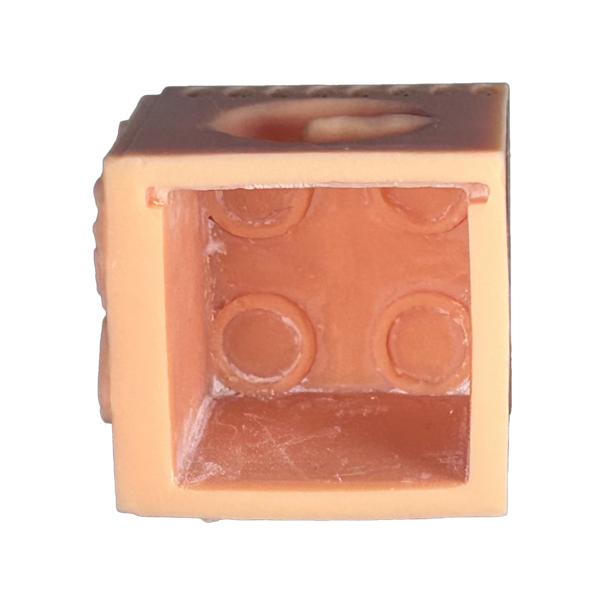 Toothxplore Magniaid Outer Case