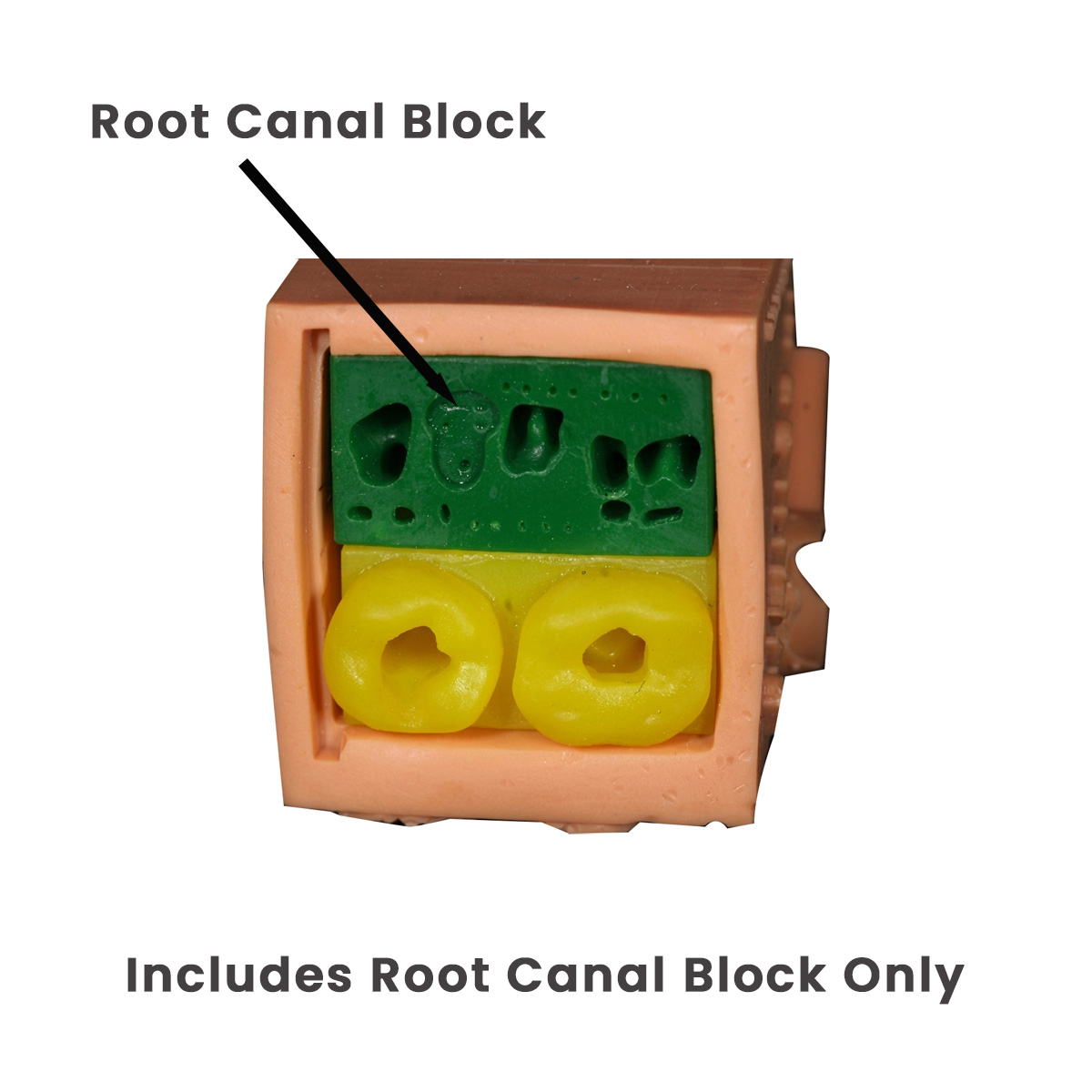 Toothxplore Magniaid Root Canal Block