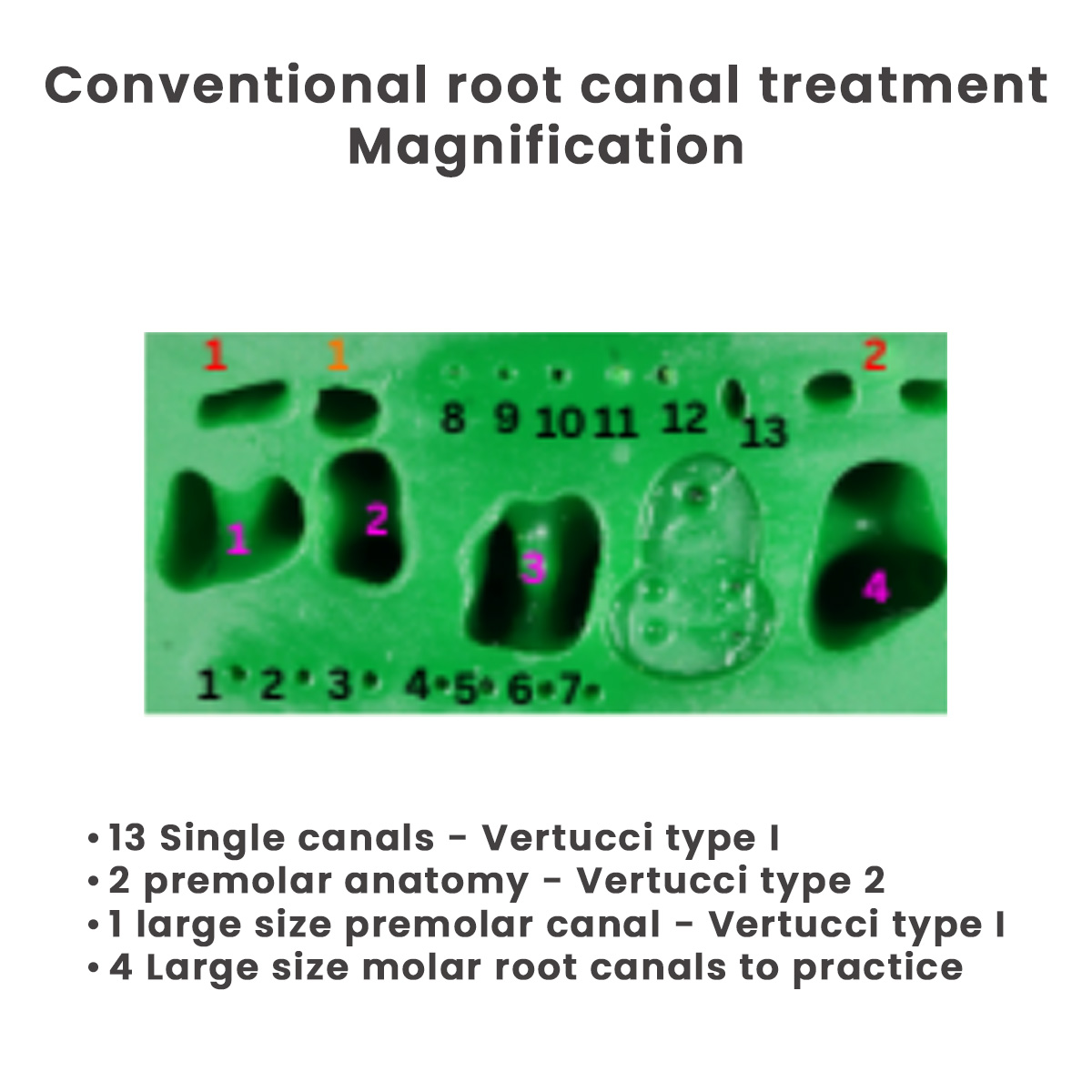 Toothxplore Magniaid Root Canal Block