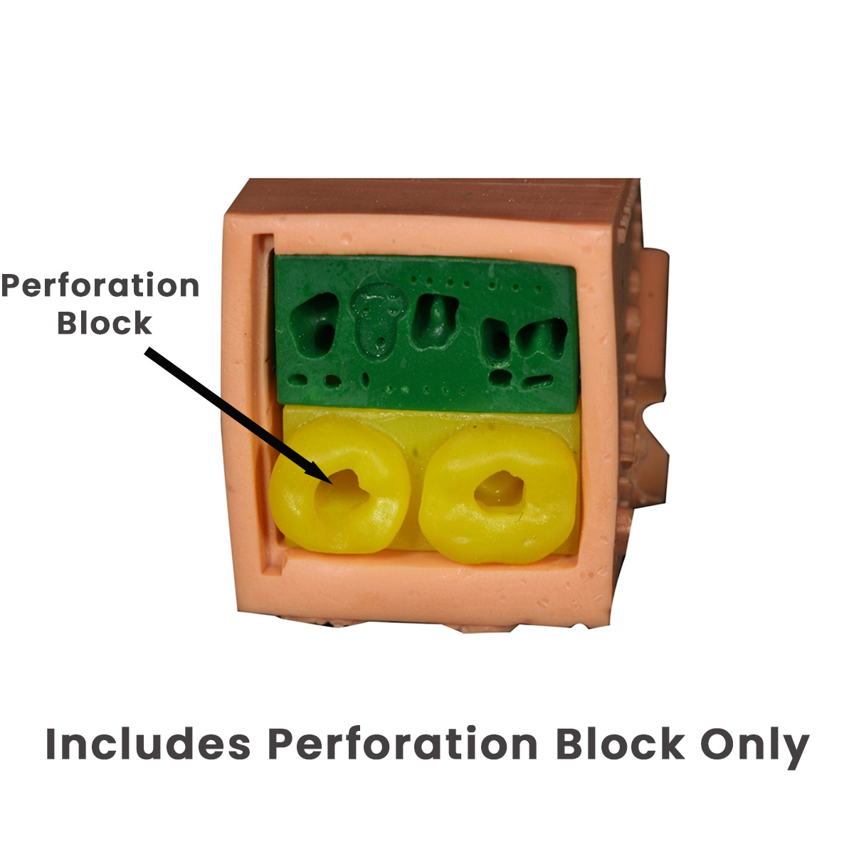 Toothxplore Magniaid Perforation Block