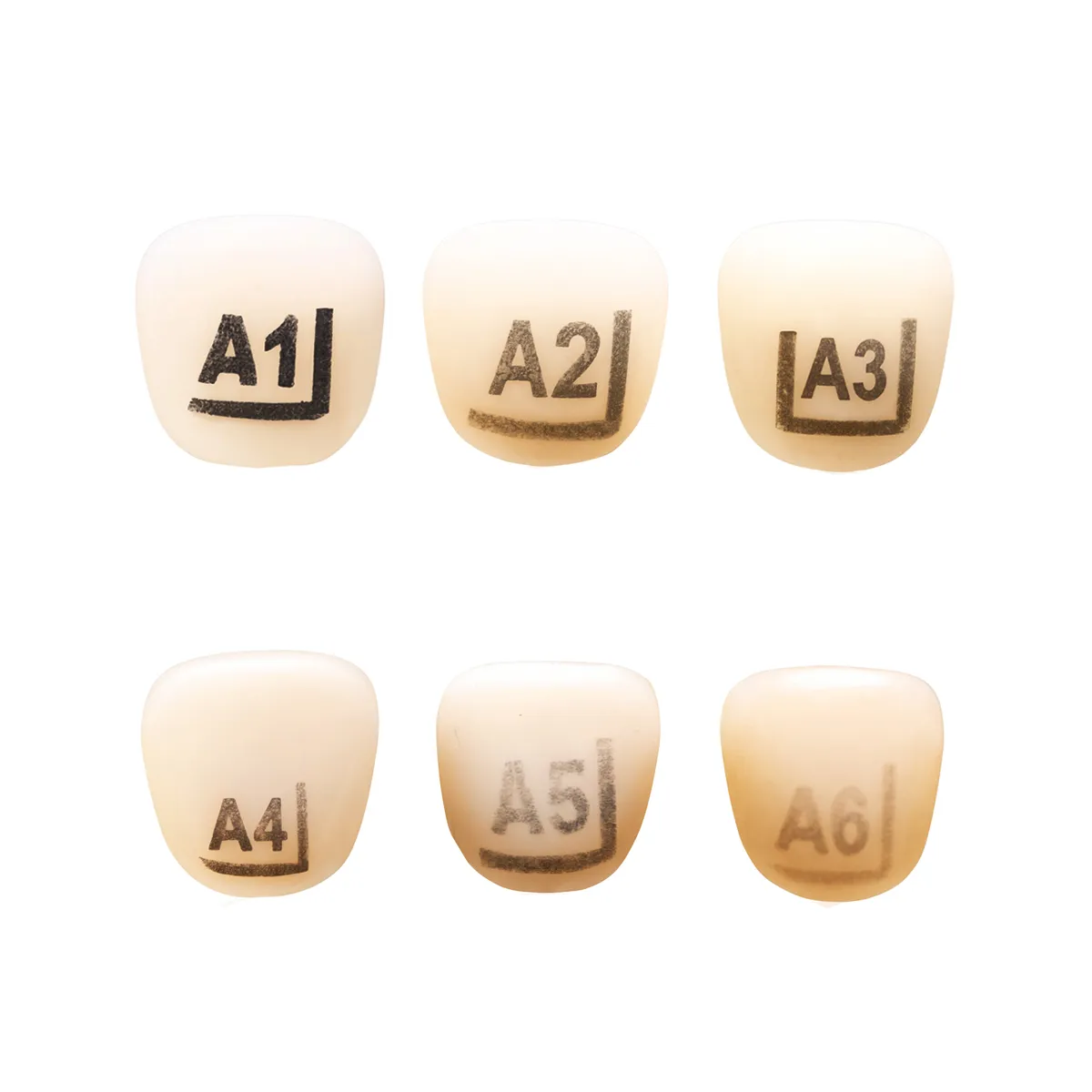 Pedo Crown Primary Upper Central Incisor Refills