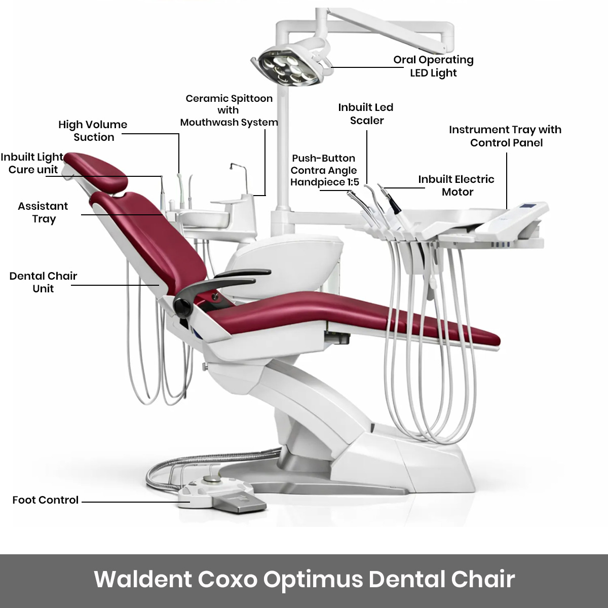 Waldent Optimus Dental Chair