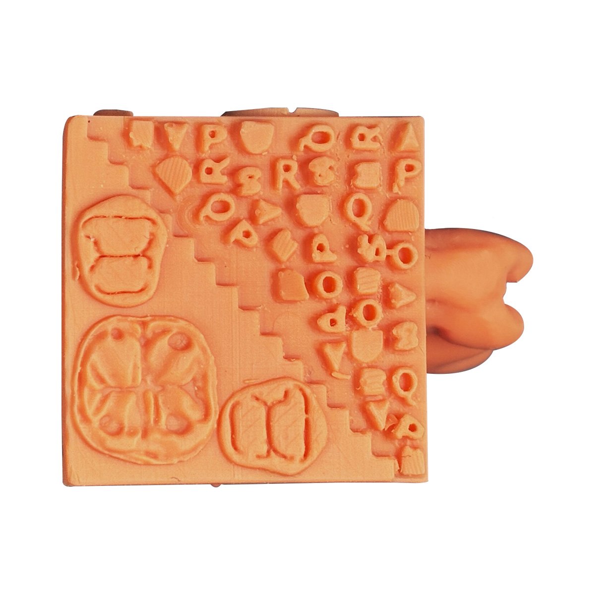 Toothxplore Magniaid Outer Case