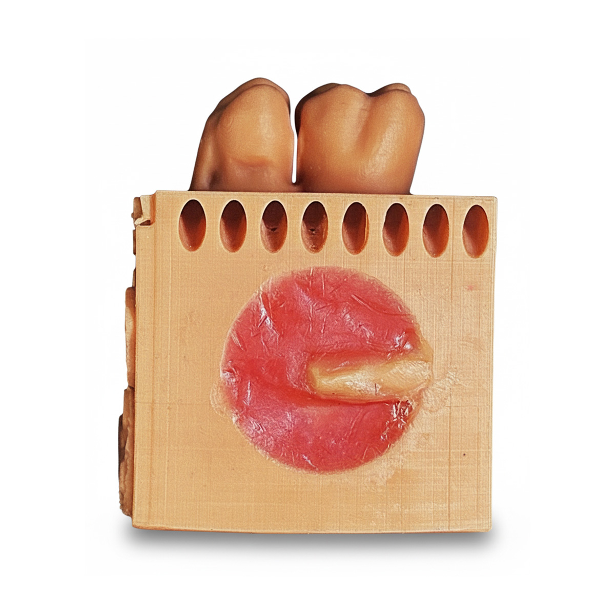 Toothxplore Magniaid Outer Case