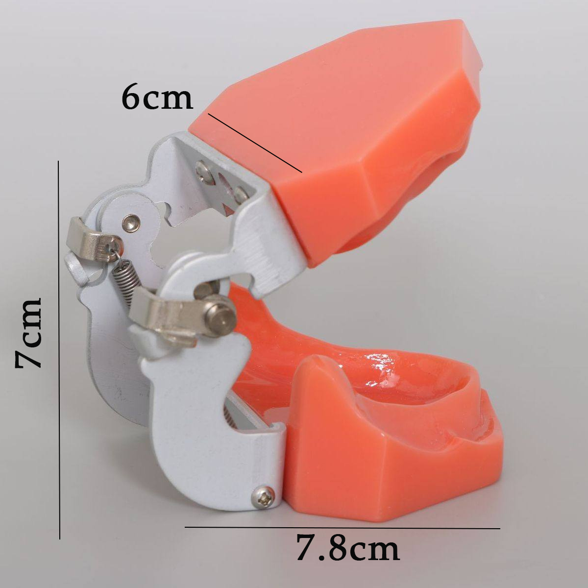 iDENTical Standard Edentulous Model M7041