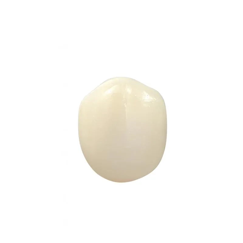 Pedo Crown Primary Lower Canine Refills
