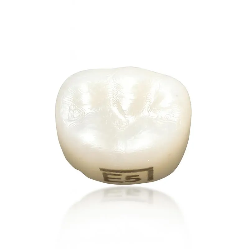 Pedo Crown Primary 2nd Lower Molar Refills