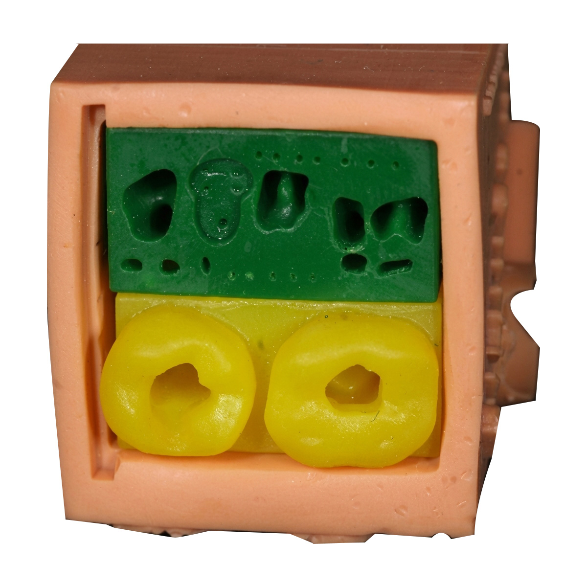 Toothxplore Magniaid Full Set