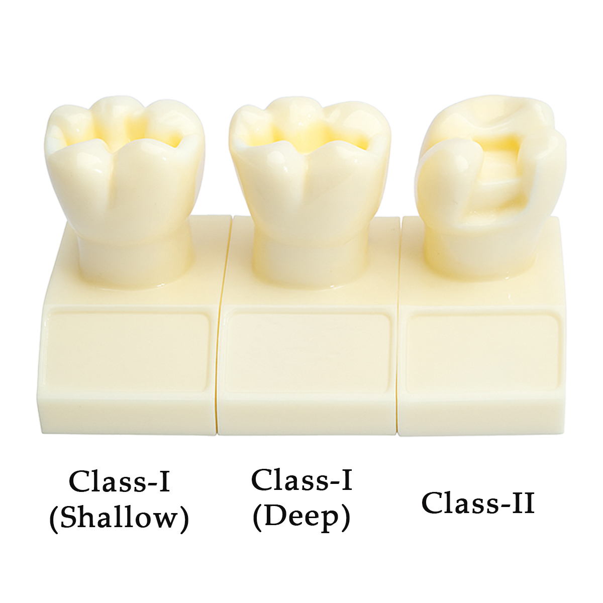 IDENTical Cavity Demonstration Model For Pre - Clinical Training 4X Size - Set of 12 M7025
