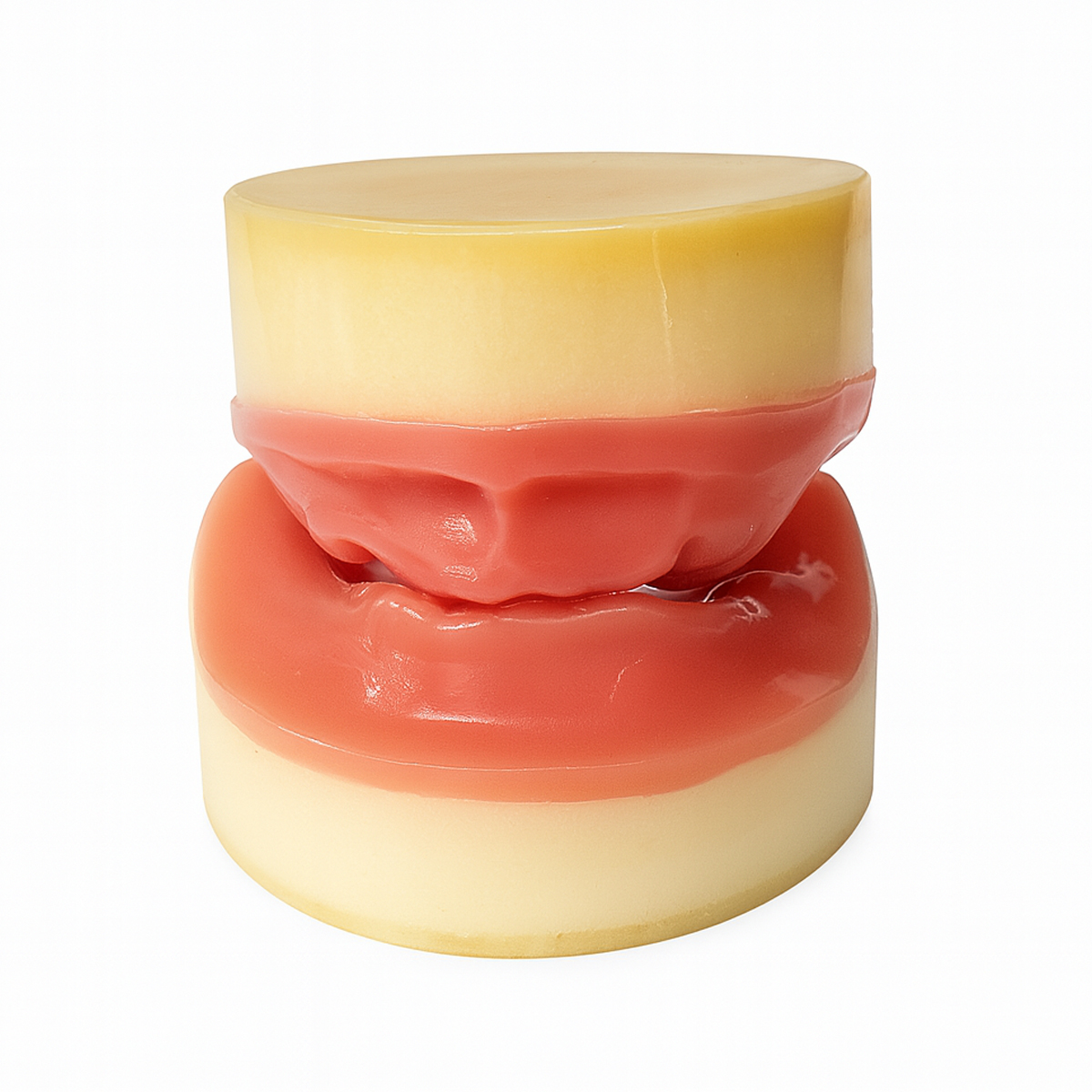 iDENTical Implant Practice Edentulous Model For Overdenture M2053