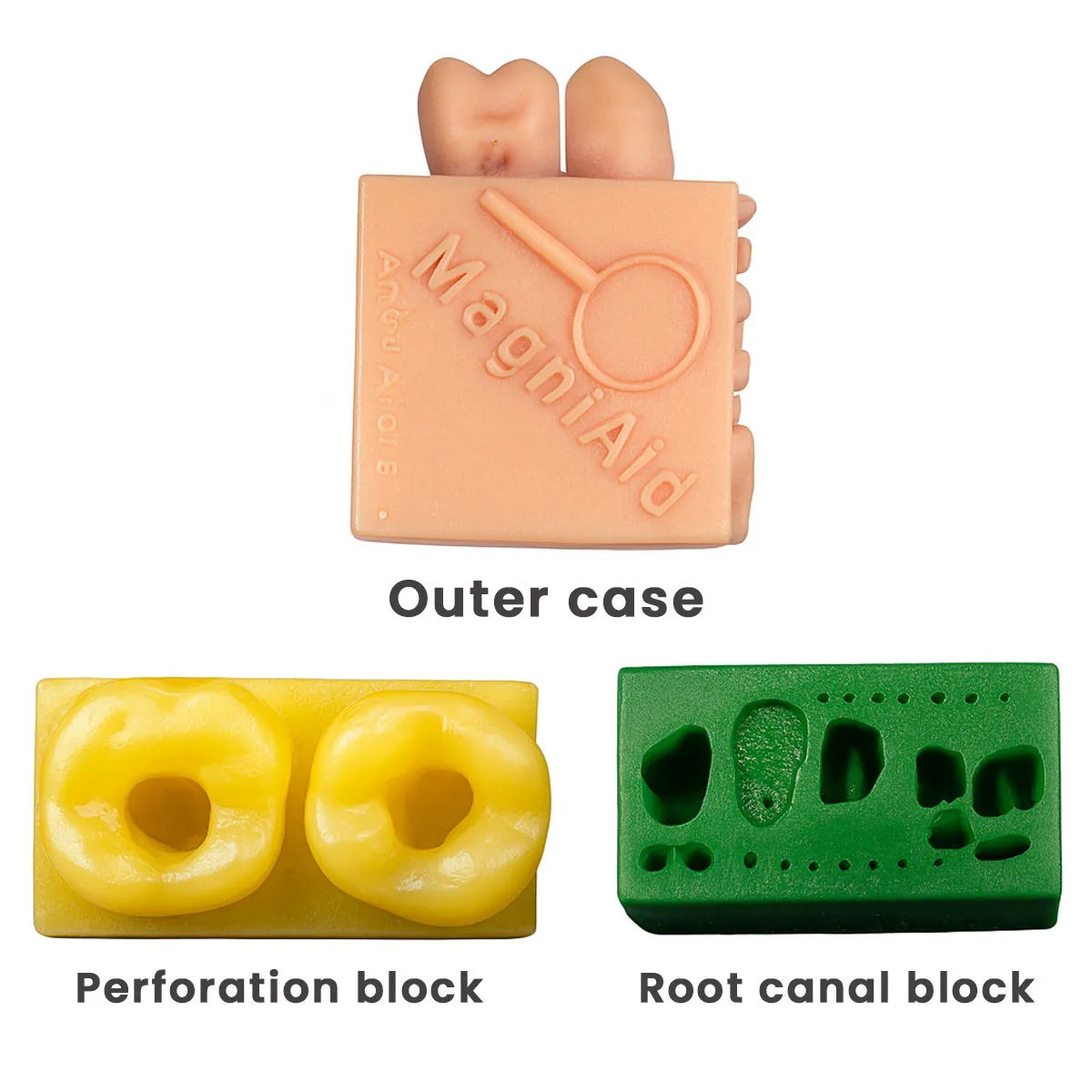 Toothxplore Magniaid Full Set